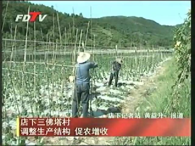 店下三佛塔村調整生產結構 促農增收