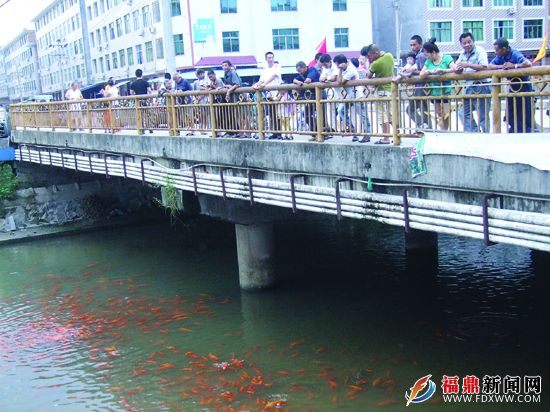 扆山溪畔好風(fēng)景