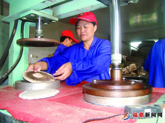 福鼎白茶進軍茶市“古董”領域