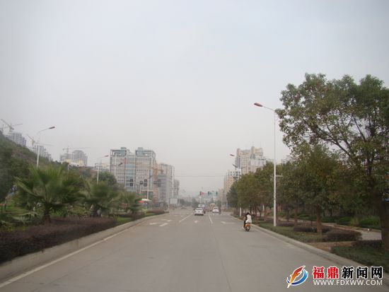 中央大道綠樹成行，高樓林立.JPG