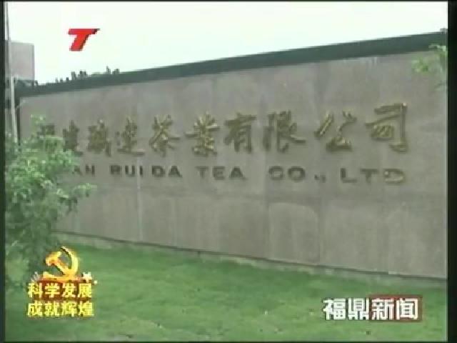 點頭：向閩東白茶產(chǎn)業(yè)第一大鎮(zhèn)邁進