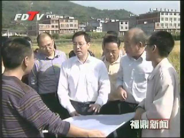 程樹平到硤門、店下開展調(diào)研活動(dòng)