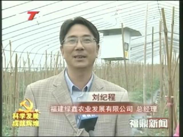 福鼎：現代農業蓬勃發展 農業增效農民增收
