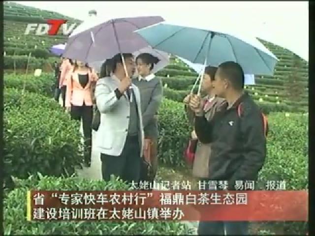 省“專家快車農(nóng)村行”福鼎白茶生態(tài)園建設(shè)培訓班在太姥山鎮(zhèn)舉辦