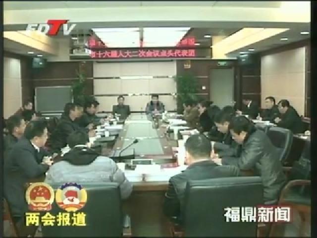 陳興華與前岐、點頭代表團人大代表審議《政府工作報告》