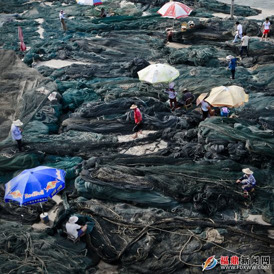 4沿海漁村時常能看到專心修補漁網的漁民。.JPG