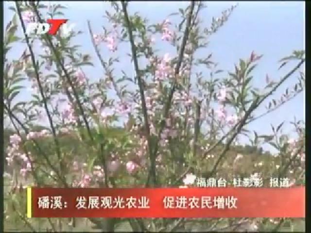 磻溪：發(fā)展觀光農(nóng)業(yè) 促進農(nóng)民增收