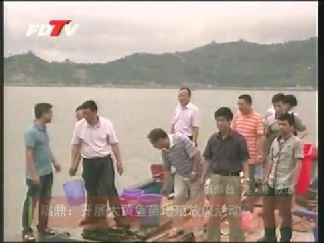 福鼎：開展大黃魚苗增殖放流活動(dòng)