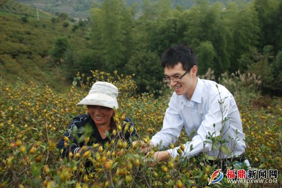 復件 2012農(nóng)戶向信貸員講述梔子豐收的喜悅.JPG