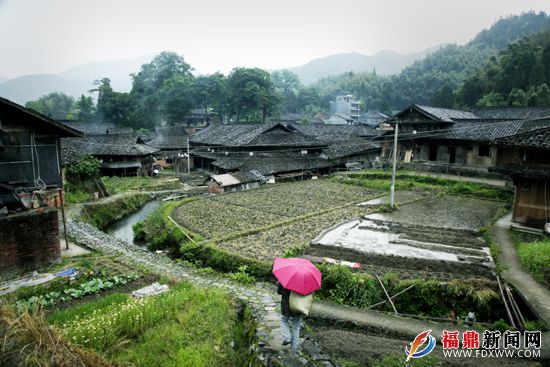 中國傳統村落、省級歷史文化名村仙蒲村 吳維泉攝.JPG