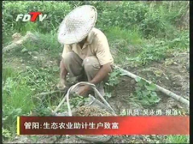 管陽：生態農業助計生戶致富
