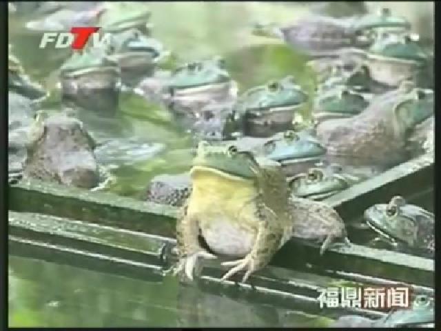 佳陽：開發山地資源促進農戶增收致富