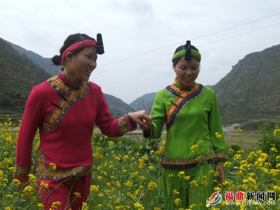 通過加入特種養殖合作社，讓搬下山的閩東畬族鄉群眾攜手走新生活（林熙 雷順號攝）.JPG