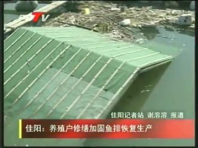佳陽：養殖戶修繕加固魚排恢復生產