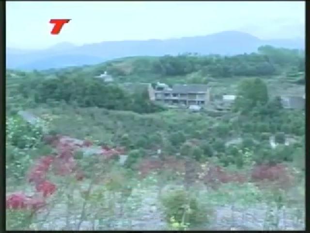 山地農業讓山區農民走上發家致富路