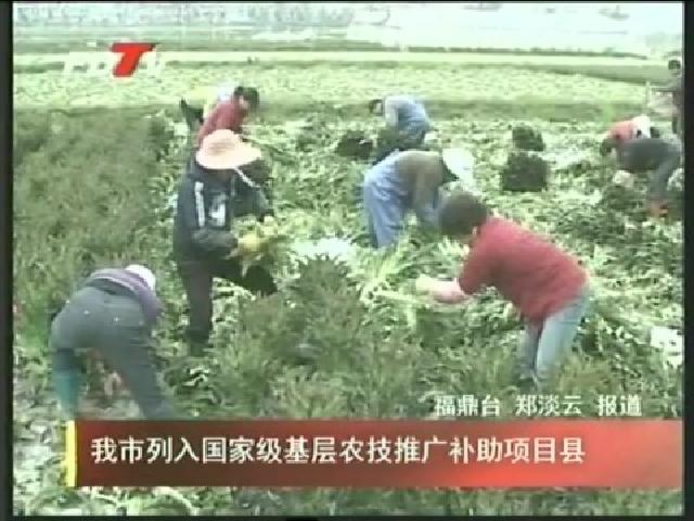 我市列入國家級基層農(nóng)技推廣補(bǔ)助項(xiàng)目縣