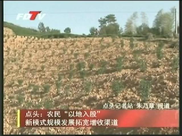 點(diǎn)頭：農(nóng)民“以地入股”新模式規(guī)模發(fā)展拓寬增收渠道