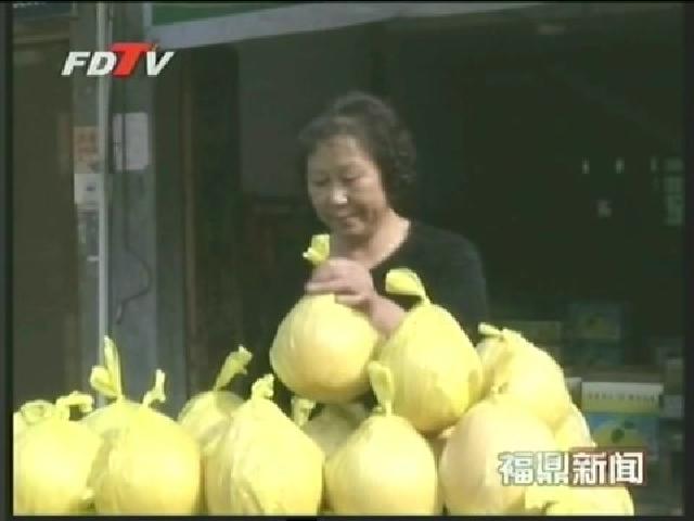 福鼎：柚農(nóng)加強(qiáng)果園管理 提早謀劃來(lái)年生產(chǎn)