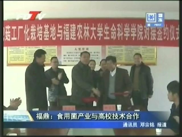 福鼎：食用菌產業與高校技術合作