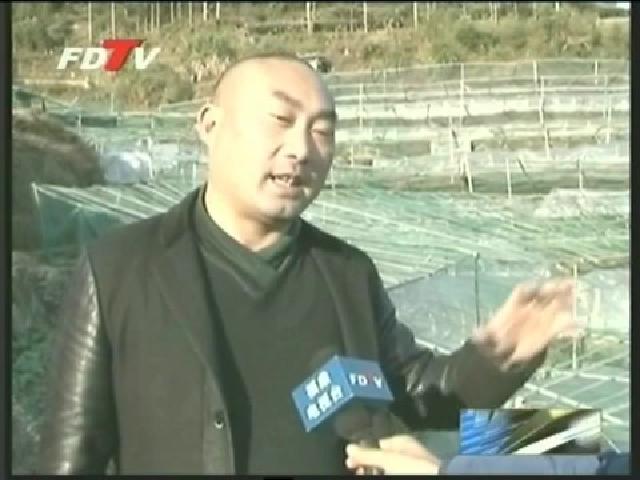 上洋輝谷平康合作社：發展生態農業
