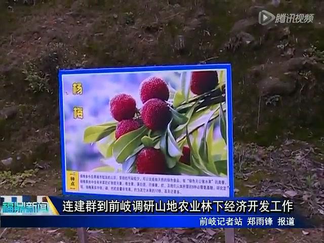 連建群到前岐調研山地農業林下經濟開發工作