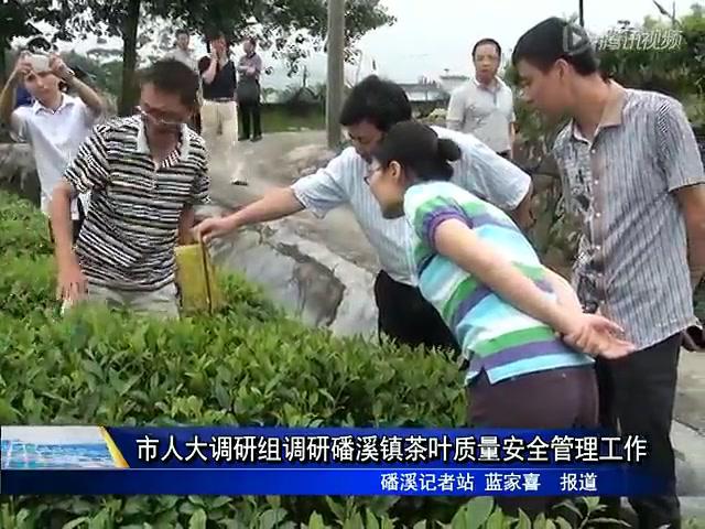 市人大調研組調研磻溪鎮茶葉質量安全管理工作
