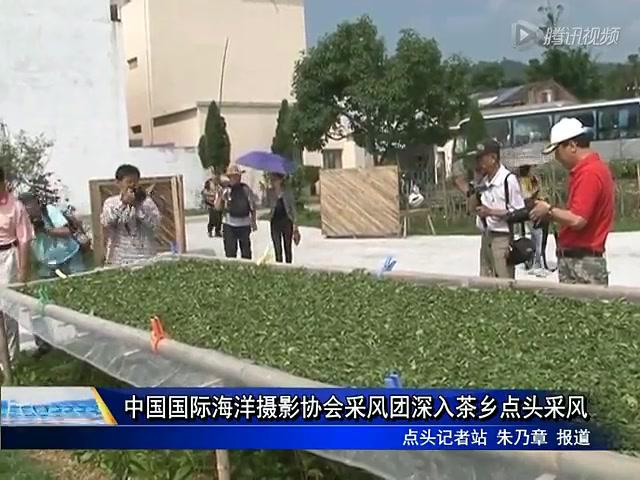 中國國際海洋攝影協會采風團深入茶鄉點頭采風