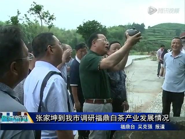 張家坤到我市調研福鼎白茶產業發展情況