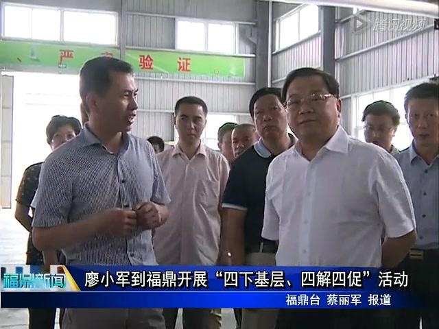 廖小軍到福鼎開展“四下基礎、四解四促”活動