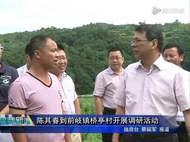 陳其春到前岐鎮橋亭村開展調研活動