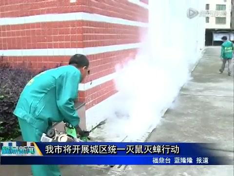 我市將開展城區(qū)統(tǒng)一滅鼠滅蟑行動