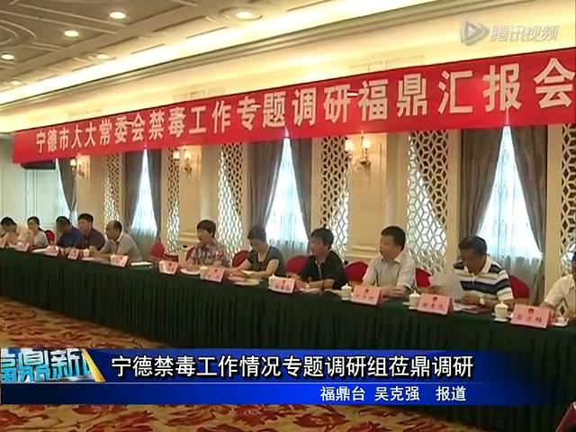 寧德禁毒工作情況專題調研組蒞鼎調研