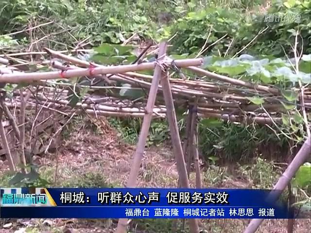 桐城：聽群眾心聲 促服務實效