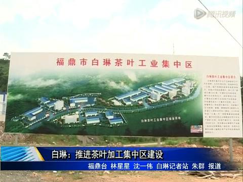 白琳：推進茶葉加工集中區建設