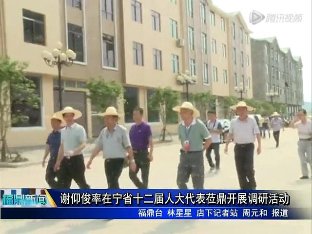 謝仰俊率在寧省十二屆人大代表蒞鼎開展調研活動