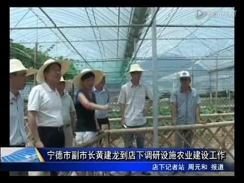 寧德市副市長黃建龍到店下調研設施農業建設工作
