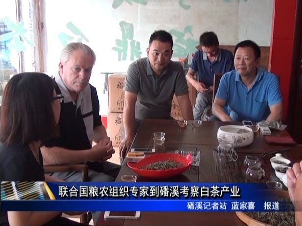 聯合國糧農組織專家到磻溪考察白茶產業(yè)