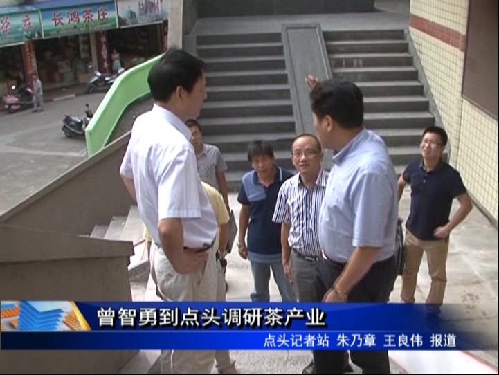 曾智勇到點頭調研茶產業
