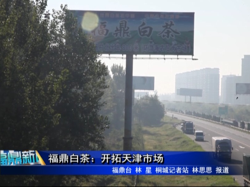 福鼎白茶：開拓天津市場
