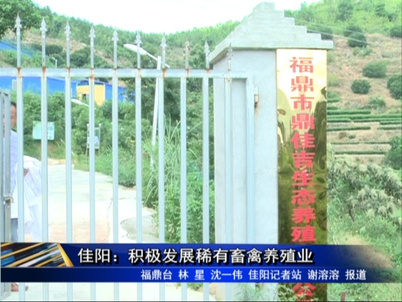 佳陽(yáng)：積極發(fā)展稀有畜禽養(yǎng)殖業(yè)