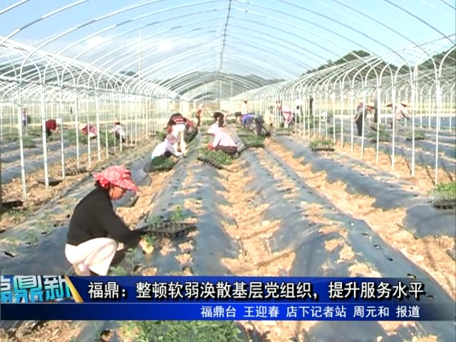 福鼎：整頓軟弱渙散基層黨組織，提升服務水平