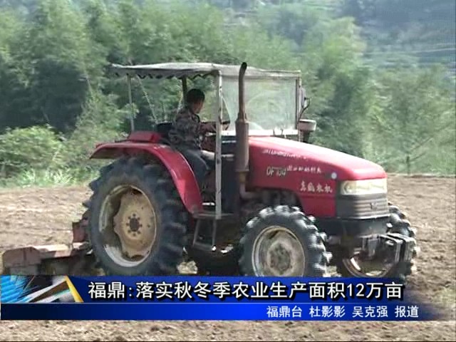 福鼎:落實秋冬季農業生產面積12萬畝