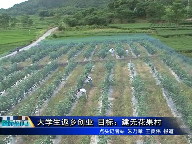 大學生返鄉創業 目標：建無花果村