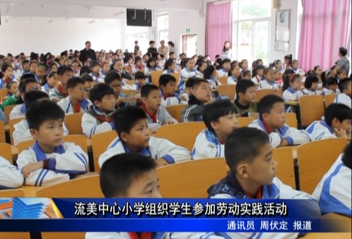 流美中心小學組織學生參加勞動實踐活動