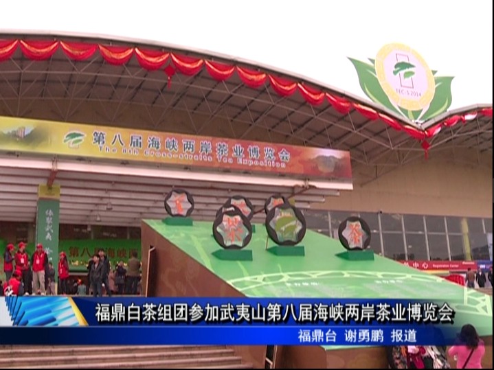 福鼎白茶組團參加武夷山第八屆海峽兩岸茶業博覽會