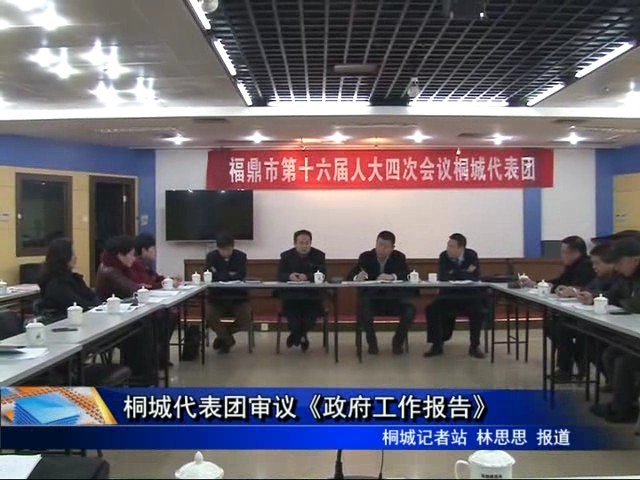 桐城代表團審議《政府工作報告》