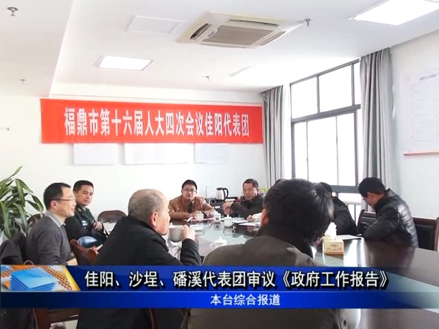 佳陽、沙埕、磻溪代表團審議《政府工作報告》