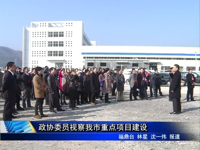 政協委員視察我市重點項目建設