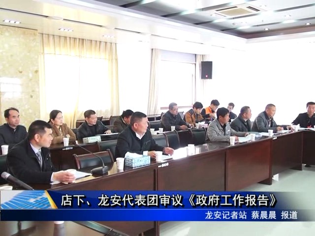 龍安、店下代表團審議《政府工作報告》