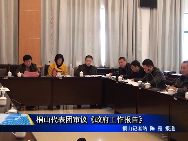桐山代表團審議《政府工作報告》